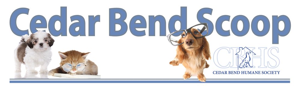This blog is affiliated with the Cedar Bend Humane Society in Waterloo, Iowa to share pet-friendly resources, adoption stories, and CBHS events.