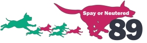 Spay or Neutered